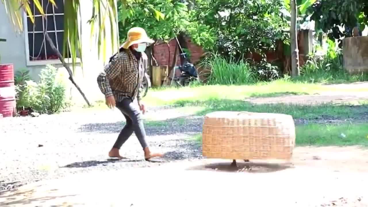 funny dogs reaction try to dont laugh