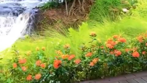 Nature. Waterfall and breakfast