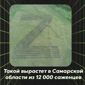 Aktivisté v samařské oblasti v Rusku vysadili 12 tisíc sazenic ve tvaru písmene Z