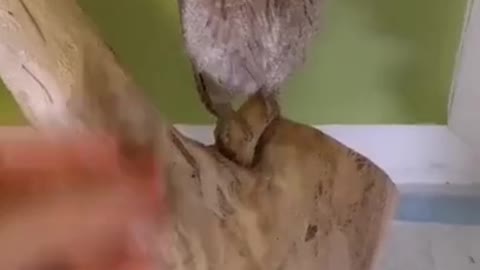 Это Ваше?/Is it yours?