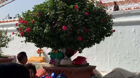 Devotees praying for god