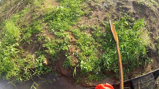 Skydiver Lands In Swamp, Saved By Boat