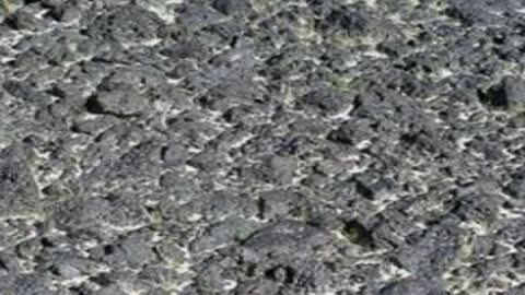 NASA on the MOON 2012