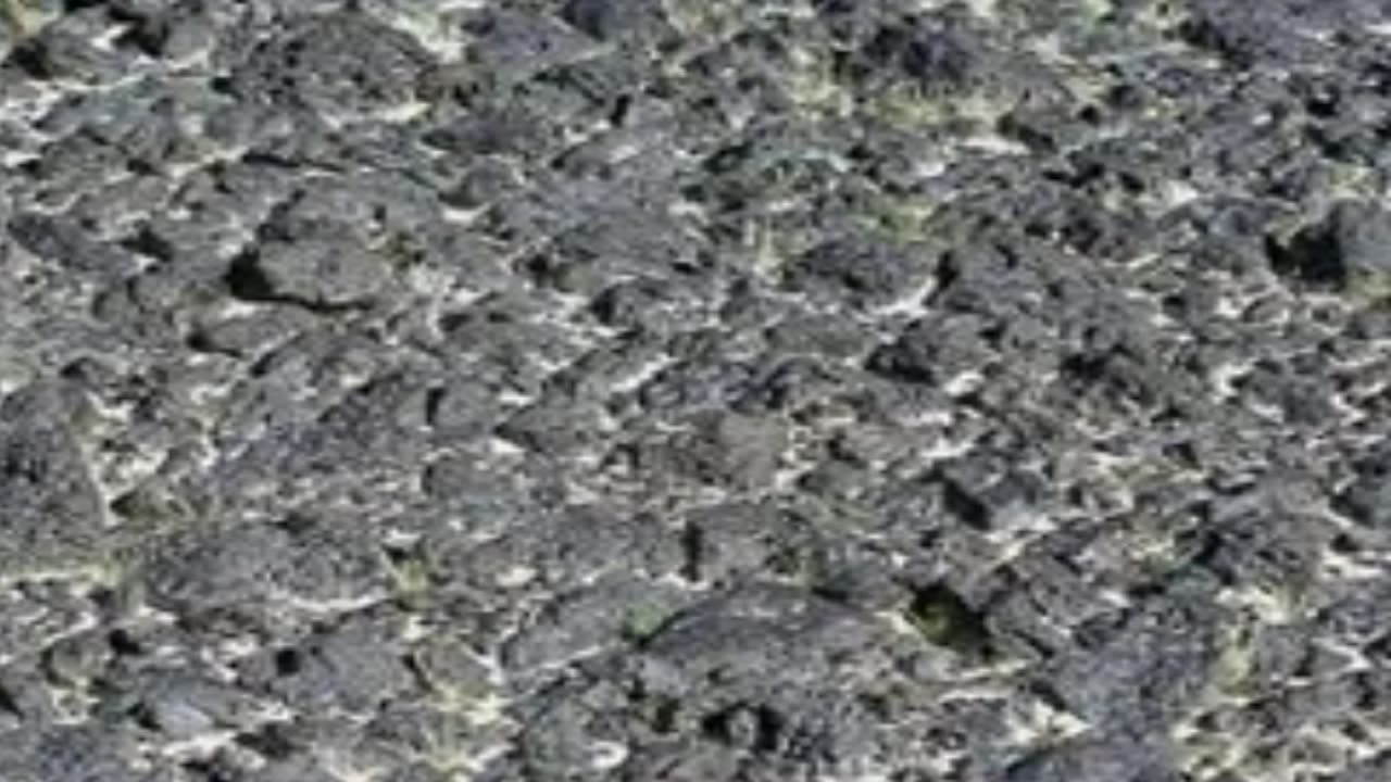 NASA on the MOON 2012