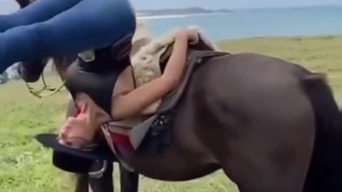 Horse Riding! Horseback🥰. Cute Animals! 🥰😍