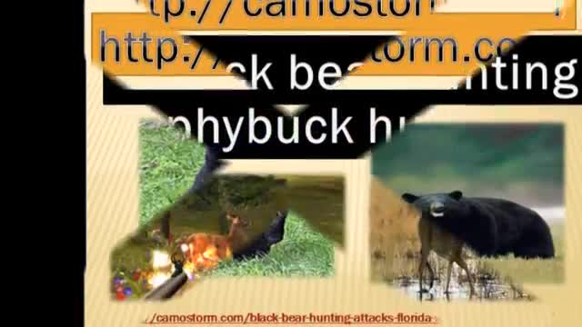 Camostorm - Cheap hunting Adventure