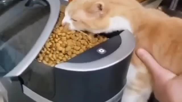 👉 I'm a little hungry! 🤣🤣😁