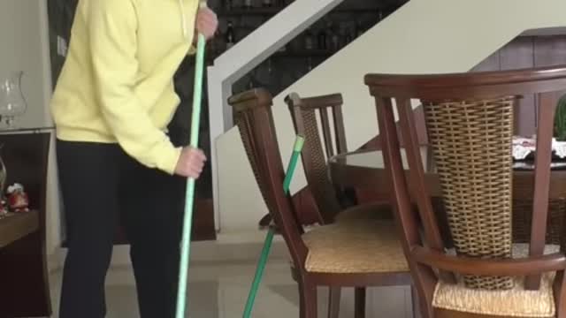 Gato foguete