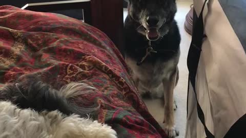 FIONA AND FRED