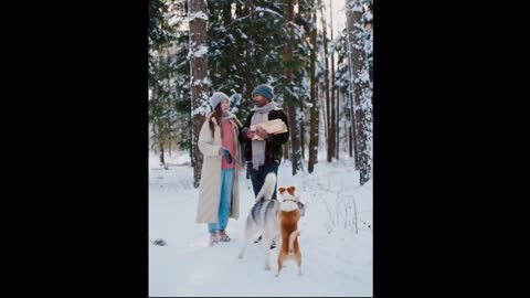 cat and dog couple boy and girl couple going honymoon