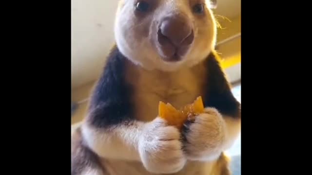 GANA make the world see what co-operation looks like