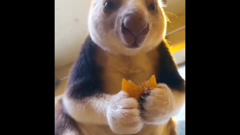 GANA make the world see what co-operation looks like