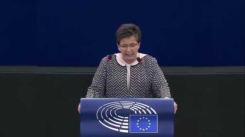 Sylvia Limmers (MdEP) aufrüttelnde Rede & Quellen