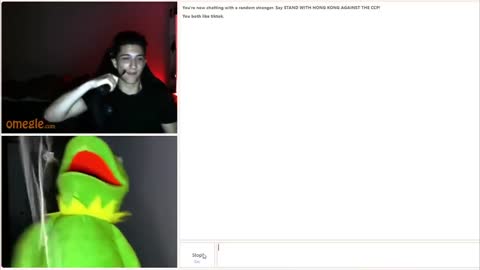 Kermit Masturbating On Omegle