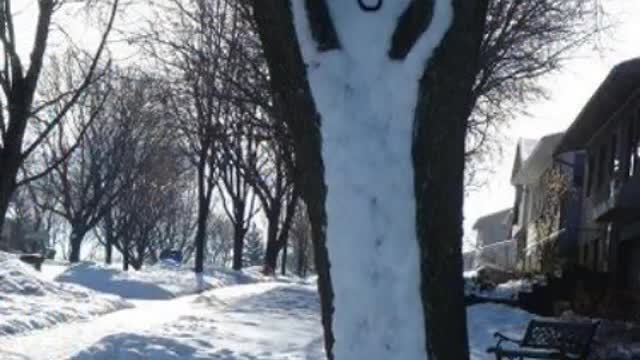 Funny Snowmen