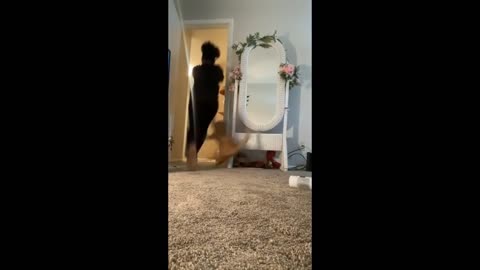 I Will Get You No Matter Where | Funny Cat