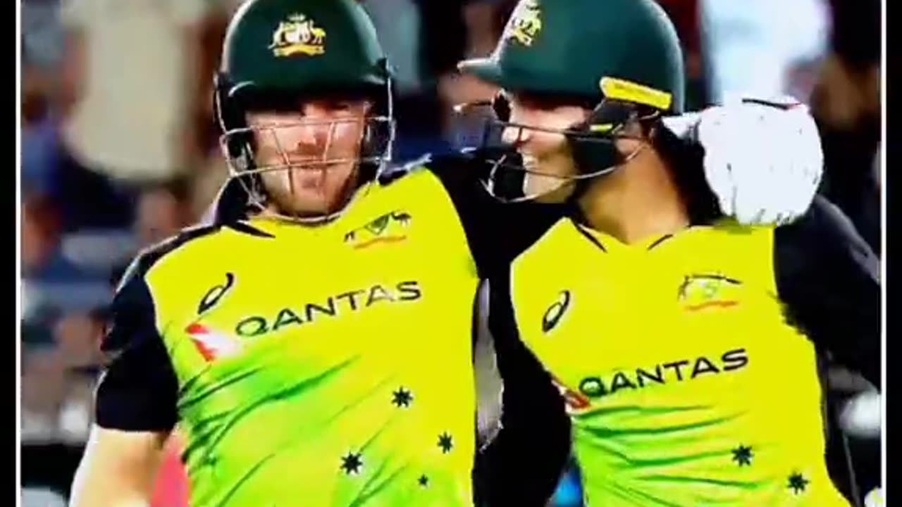 australia vs new zealand world cup highlights 2023,