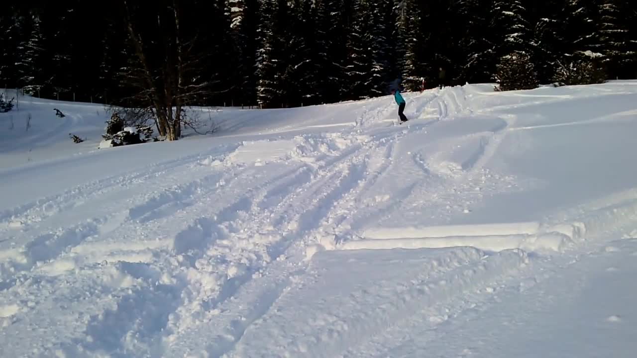 Teal skier back flip barrell roll