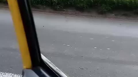 Video: Conductor en aparente estado de alicoramiento causó grave accidente en el Anillo Vial