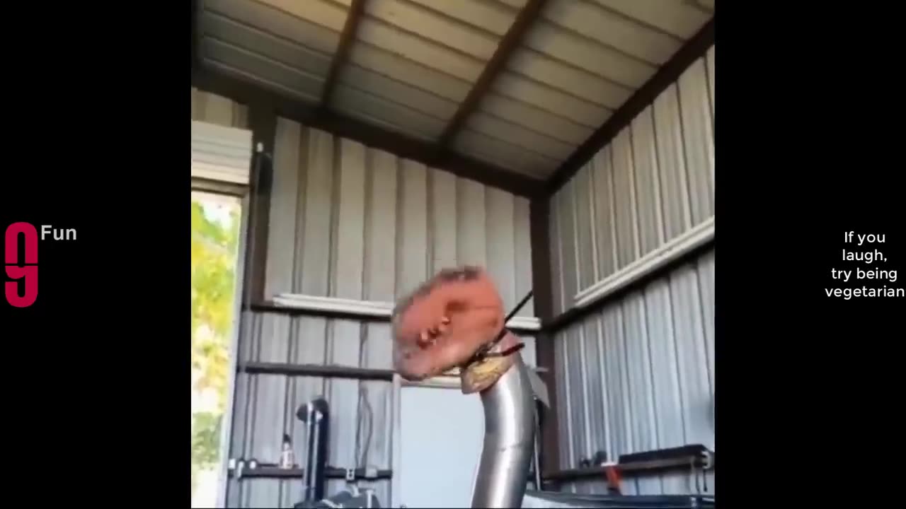 BEST FUNNY VIDEOS COMPILATION | Try not to Laugh