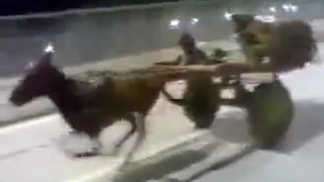 Super fast Horse