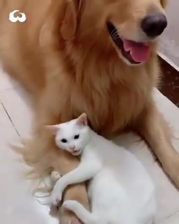 This is one of the Cutest friendships I've ever seen