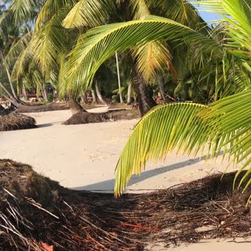 Morning on the island of Koh Kood