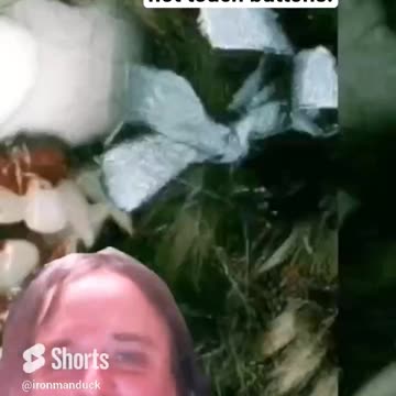 Chat loves to do not touch buttons