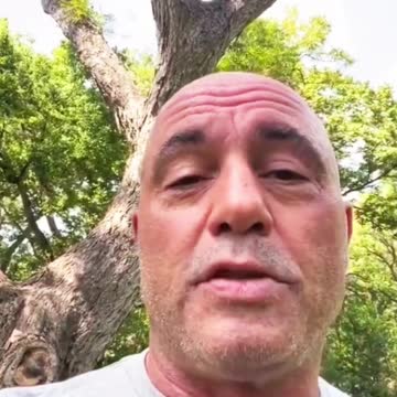 The left will love this one...😂😂😂 GOOD TO KNOW JOE IS OK!!!