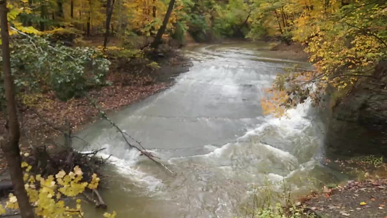 Tuxedo Park West Creek Waterfall