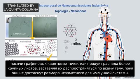 Феномен MAC и внутрителесная нанокоммуникационная сеть