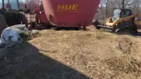 Mixing feed