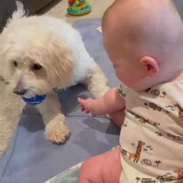 When you meet the love of your life