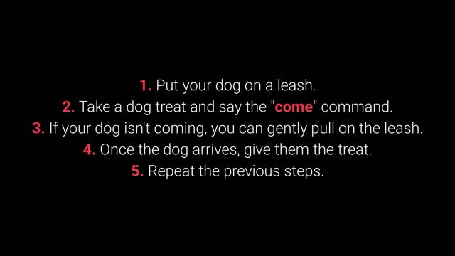 top 10 basic dog training