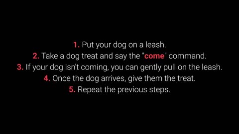 top 10 basic dog training