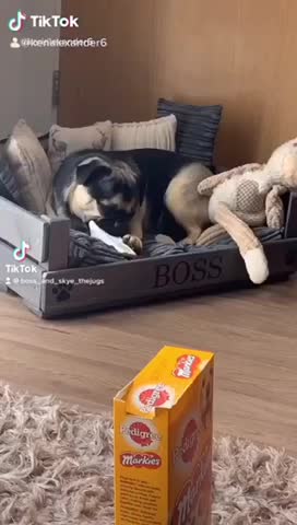 Watch what a day is like Boss