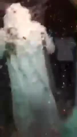 Birthday Party goes wrong. Viral Clip 2022