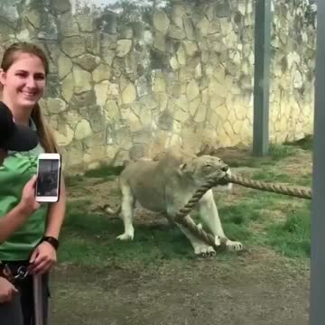 Anti-Loosh Video Number 57. LOOSH is real and bad. Explained below and watch the video!