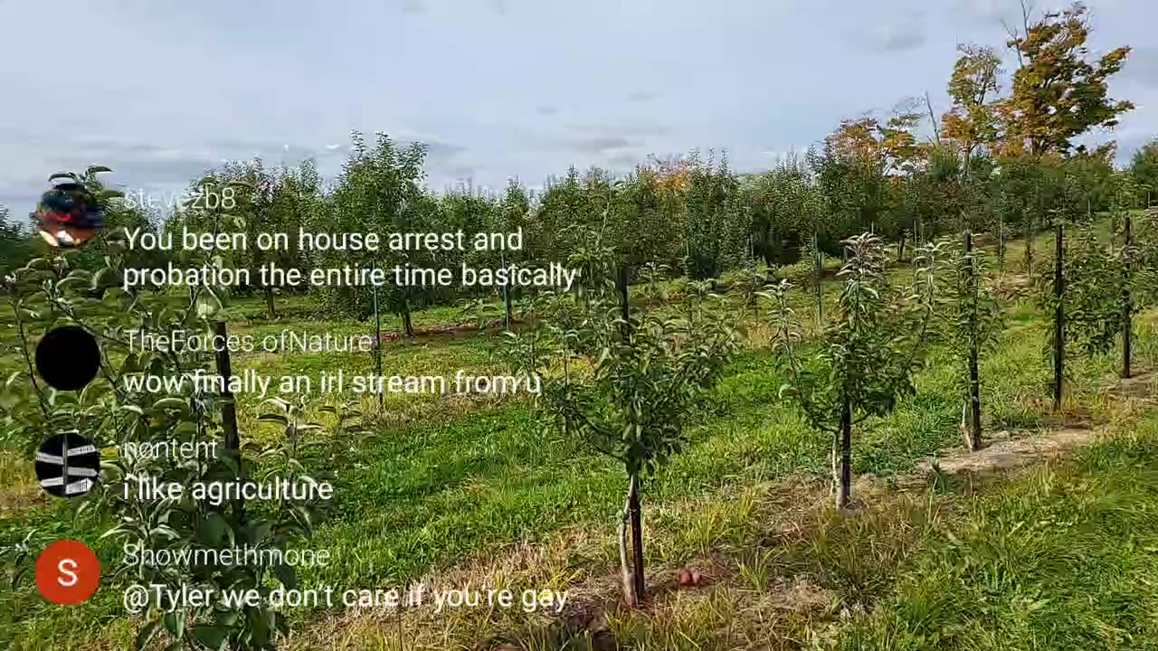 Apple Orchard IRL.....sorta