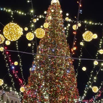 Main Christmas Tree Of Ukraine