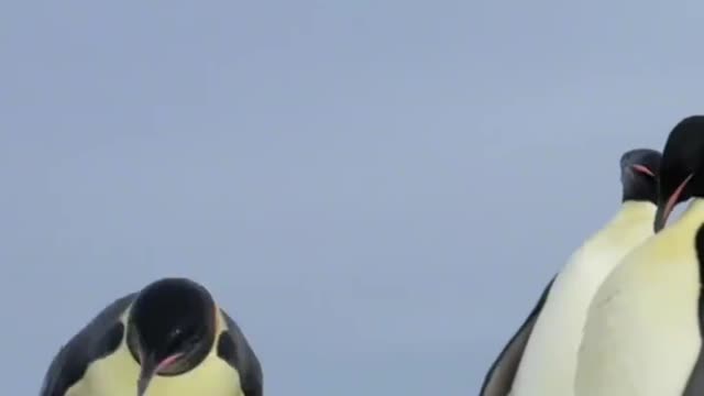 Hey, guys, did you bring anything good today