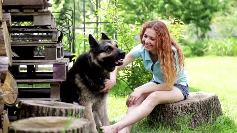 Most Loyal Dogs – TOP 20 Most Loyal Dog Breeds In The World!