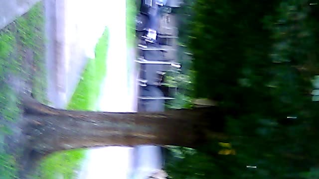 Crossing Paths
