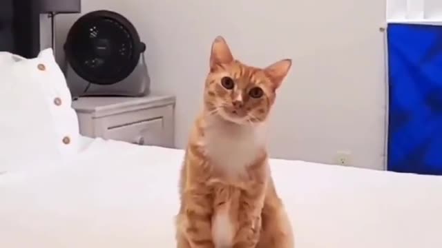 "the head tilt gets me, every time!! ❤