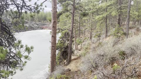 Epic Hiking Section Overlooking Mighty Deschutes River – Central Oregon – 4K