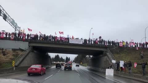 No shortage of Freedom Convoy support 44 hours away from Ottawa in Abbotsford, British Columbia