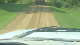 Professionals at work