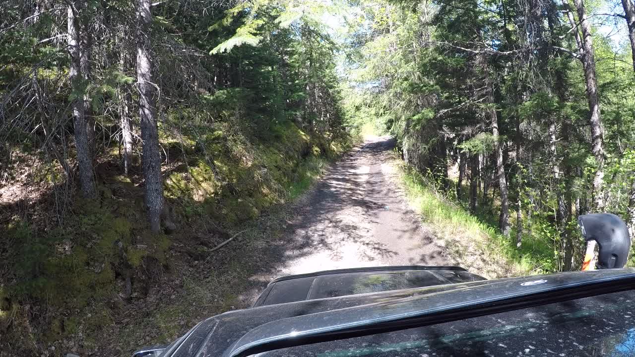 Summer Time, Old Seward Highway II