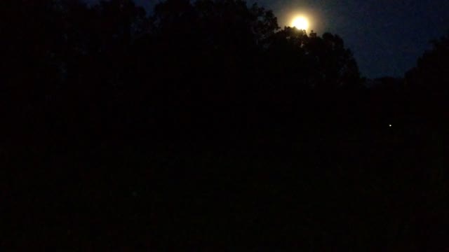 Random moon video