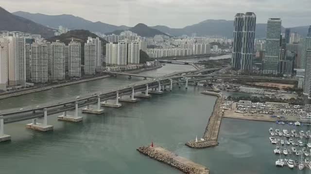 Asia Korea Busan Gwangan Bridge View Hotel View Yacht View Yacht Stadium Cafe